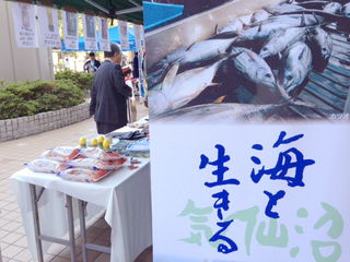 katsuomatsuri18.JPG