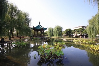 Wuhan01.jpg