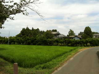 IMG_0633r.png
