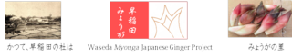 waseda_myouga_web_logo.png